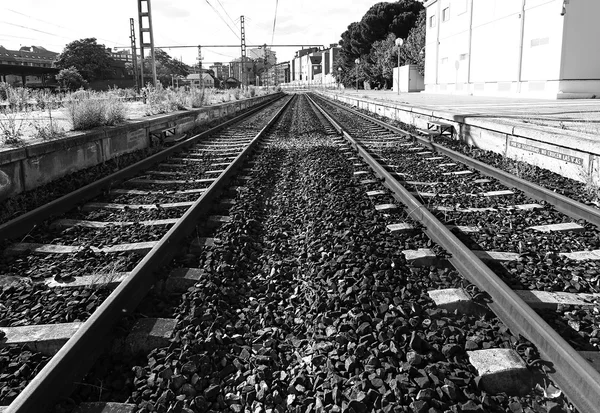 Trem trilhos perspectiva, preto e branco — Fotografia de Stock