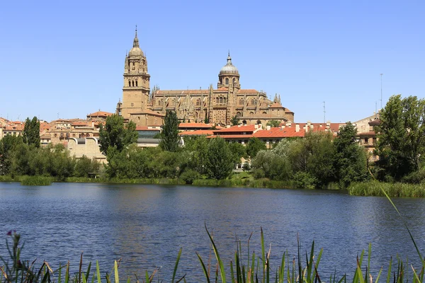 Gesamtansicht der Kathedrale von Salamanca, Spanien — Stockfoto