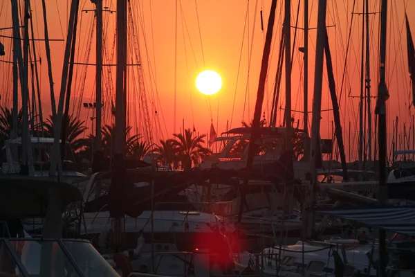 Щогли вітрильних човнів на заході сонця — стокове фото