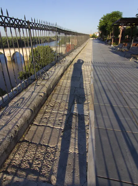 Restes de clôture en fer et une personne dans un parc — Photo