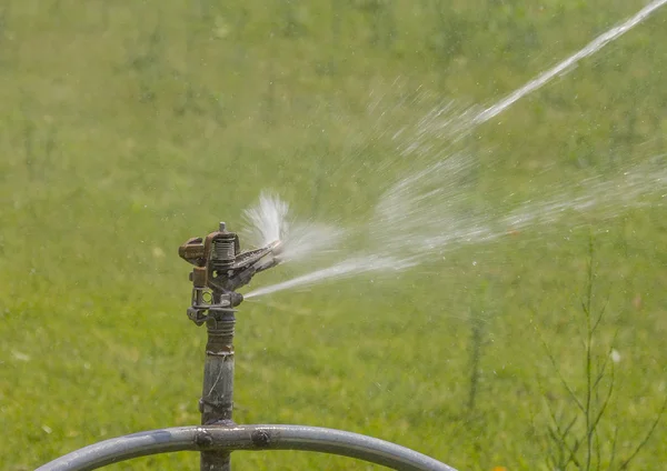Sprinkler irrigation running — Stock Photo, Image