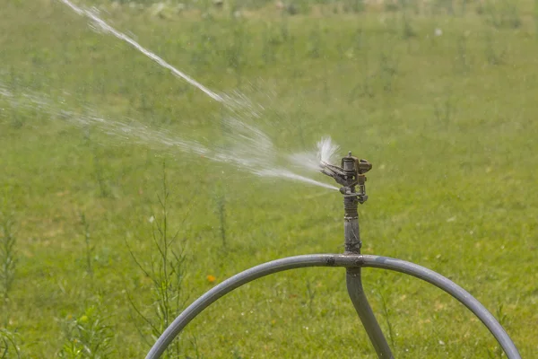 Sprinkler irrigation running — Stock Photo, Image