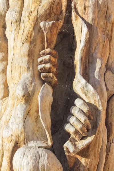 Sculpture man emerging from inside a tree — Stock Photo, Image