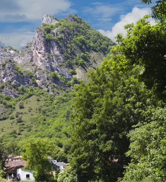 アストゥリアス、スペインの地域の高山の風景 — ストック写真
