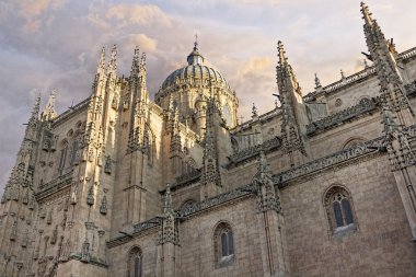 Cathedral of Salamanca, Spain clipart