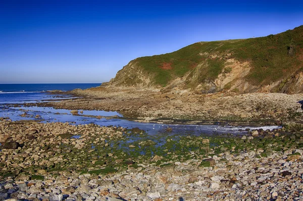 Paisagem costeira com mar azul e belas falésias — Fotografia de Stock