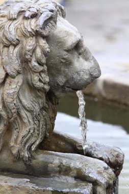 ağız yoluyla su bırakmadan leon bronz fıskiye şeklindeki