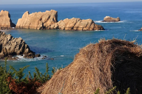 Coastal landscape with blue sea and beautiful cliffs — Stock Photo, Image