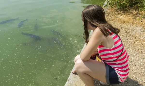 Young girl watch the fish in a pond — Stock Photo, Image