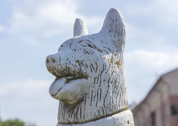 Statue aus Stein eines Hundes — Stockfoto