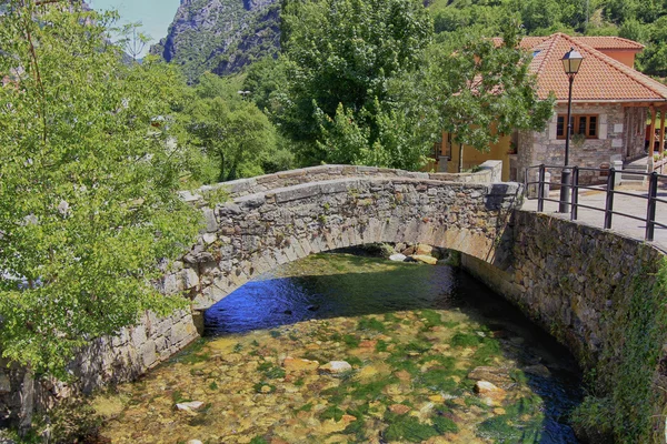 Bir akarsu üzerinde taş köprü — Stok fotoğraf