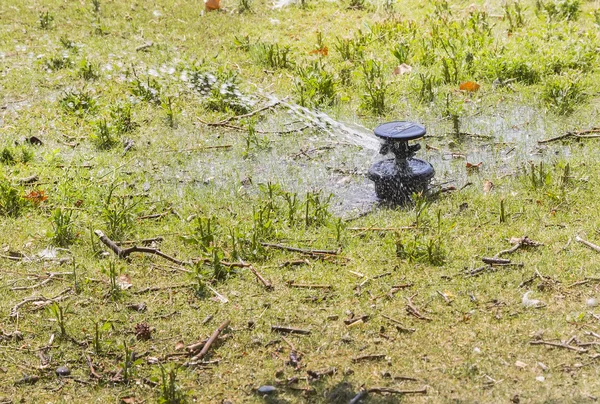 Irrigation par gicleurs en cours — Photo
