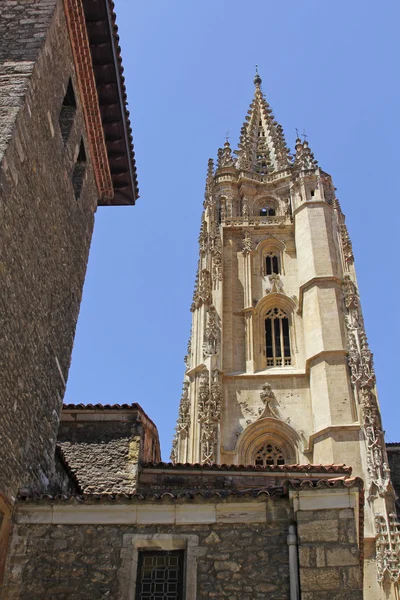 Oviedo, İspanya san salvador Katedrali — Stok fotoğraf