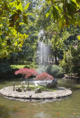 ördekler ve kaplumbağaları göle küçük bir ada