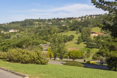 yeşil ağaçlar ile çayır