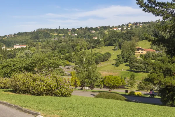 Weide met groene bomen — Stockfoto