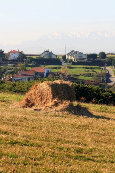 Bale av halm på en brant äng vid havet — Stockfoto