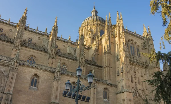 Kathedraal van salamanca, Spanje — Stockfoto