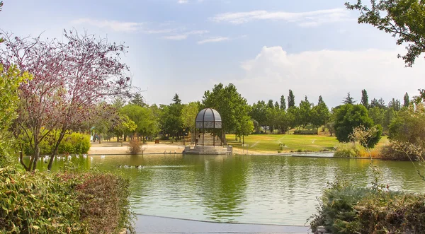 Pond in a park — Stock Photo, Image