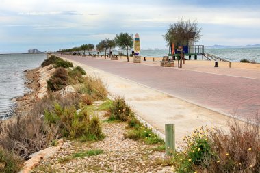 Promenade palmiye ağaçlarıyla san pedro del pinatar, İspanya