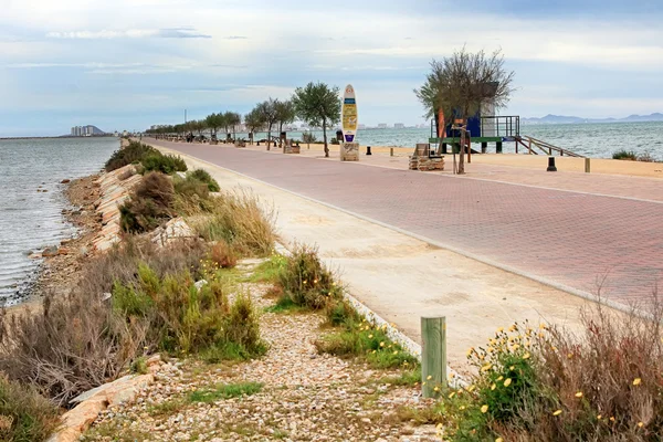 Promenáda s palmami v san pedro del pinatar, Španělsko — Stock fotografie