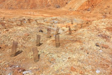 ağaçlandırma kurak toprak ve sarı demir fazlalığı