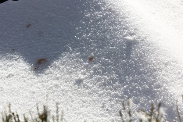 Neve polverosa depositata a terra — Foto Stock