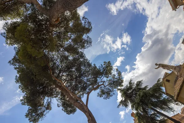 Perspektiv av vissa tallar och statyn till himlen — Stockfoto