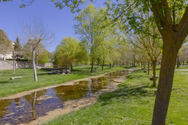 ağaçları ve bir gün güneşin altında bir dere ile yeşil çayır