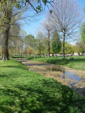 ağaçları ve bir gün güneşin altında bir dere ile yeşil çayır