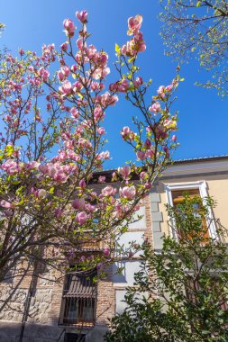tipik ev içinde tarihi kent, alcala de henares, İspanya