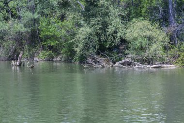 Valladolid, İspanya geçen Pisuerga Nehri