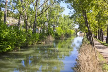 bir Nehri yanındaki yol
