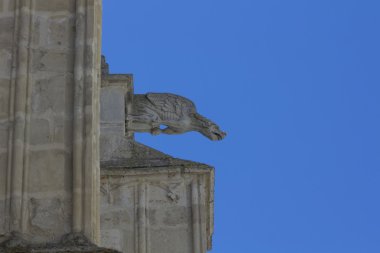 gargoyles katedral, palencia, güzel bilinmeyen, p