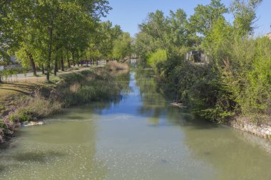 ağaçlar arasında güçlü nehir geçiyor