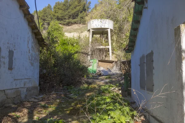 Terk edilmiş evde bakım olmadan bahçesinde — Stok fotoğraf