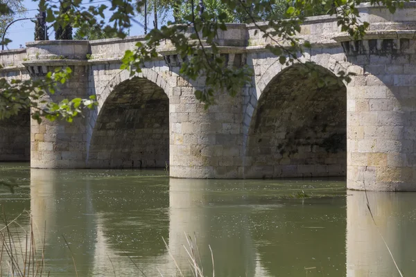 Famosa ponte de pedra, Puente Mayor, Século XVI, em Palencia, Spa — Fotografia de Stock