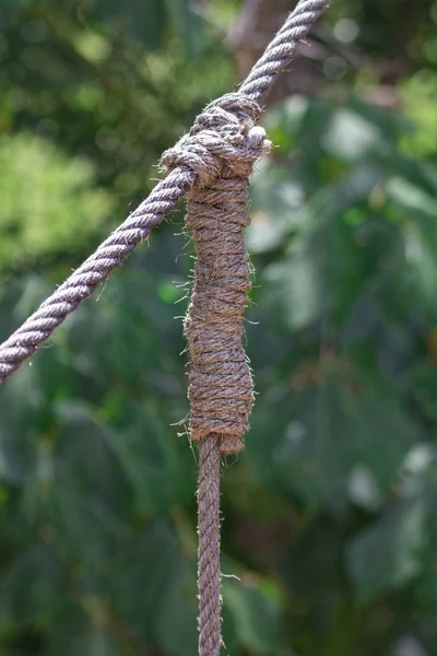 Knopen in een dik touw — Stockfoto