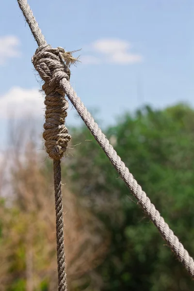 Nœuds dans une corde épaisse — Photo