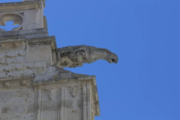 大教堂的帕伦西亚、 美丽的未知、 p 滴水嘴兽 — 图库照片