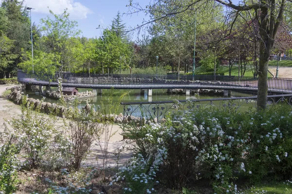 Parkta bir göl üzerinde yaya köprüsü — Stok fotoğraf