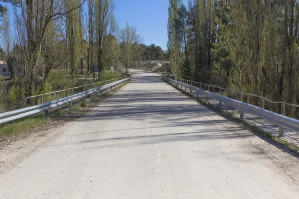 Zandstrand road, met weinig gebruik onder bomen — Stockfoto