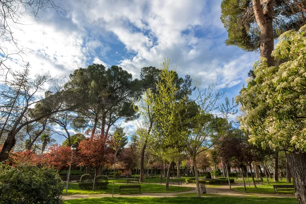 Árboles en otoño de diferentes colores, y cielo azul con nubes — Foto de Stock