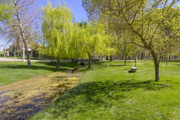 Prado verde com árvores e um riacho um dia ao sol — Fotografia de Stock