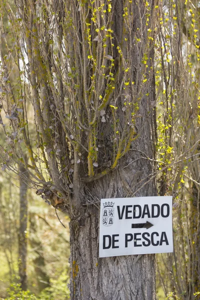 Letrero en un árbol que pone en español PESCA DE GARANTÍA —  Fotos de Stock