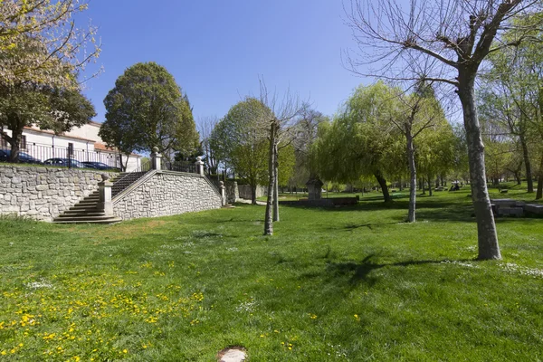 Escada de pedra em um jardim de fervura verde — Fotografia de Stock