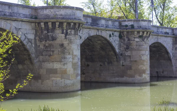 Berühmte steinerne brücke, puente mayor, xvi jahrhundert, in palencia, spa — Stockfoto