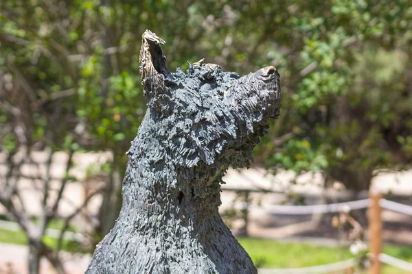 Estátua de lobo em bronze — Fotografia de Stock