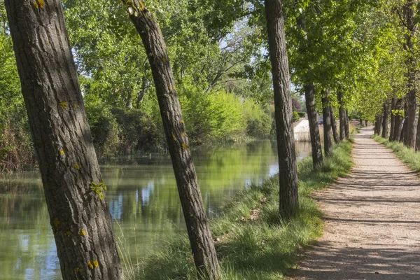 Strada vicino a un fiume — Foto Stock