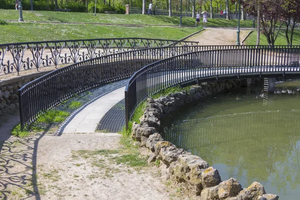 Pasarela sobre un lago en el parque — Foto de Stock